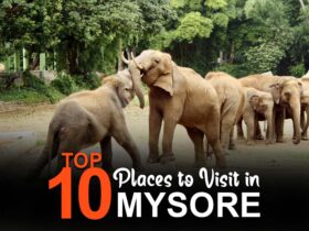 Top 10 places to visit in Mysore